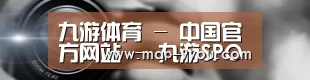 公司动态