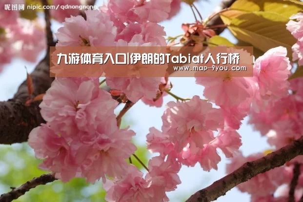 九游体育入口|伊朗的Tabiat人行桥(图3) 九游官方入口